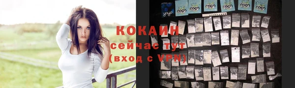 мдпв Новодвинск