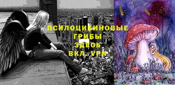spice Новозыбков
