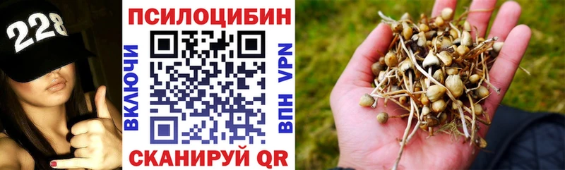 Псилоцибиновые грибы Psilocybine cubensis  Прохладный 