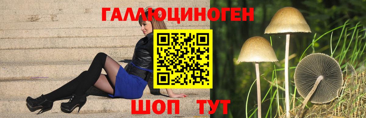 Прохладный  Галлюциногенные грибы Psilocybine cubensis  цены наркотик  Вход с VPN 