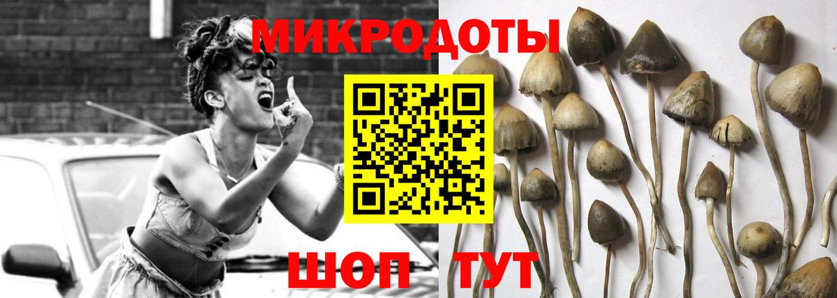 Псилоцибиновые грибы мицелий  Прохладный 