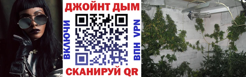 Каннабис планчик KRAKEN ссылка Прохладный