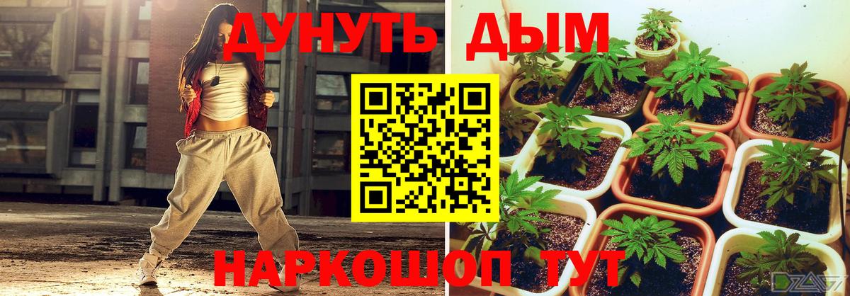 Бошки Шишки Ganja Прохладный